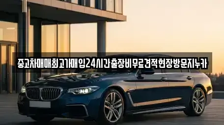 서울 영등포구 당산동4가 중고차매입 전문 중고차매매최고가매입24시간출장비무료견적현장방문지누카