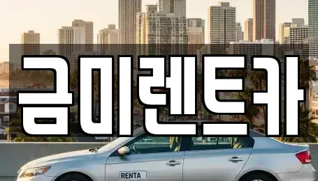 서울 영등포구 양평동2가 렌트카 전문 금미렌트카