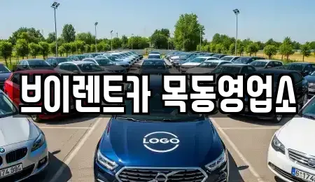 서울 영등포구 양평동2가 장기렌트카 전문 브이렌트카 목동영업소