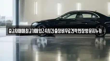 서울 영등포구 양평동2가 중고차 전문 중고차매매최고가매입24시간출장비무료견적현장방문지누카