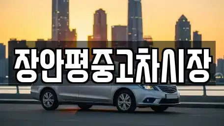 서울 영등포구 양평동2가 중고차매매 전문 장안평중고차시장