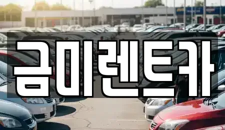 서울 영등포구 양평동4가 렌트카 전문 금미렌트카
