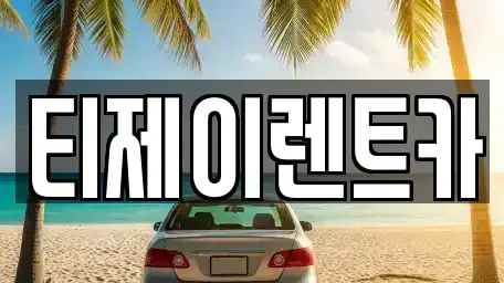 서울 영등포구 양평동4가 렌트카 전문 티제이렌트카
