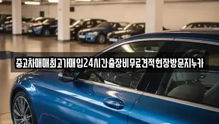 서울 영등포구 양평동4가 중고차매매 전문 중고차매매최고가매입24시간출장비무료견적현장방문지누카