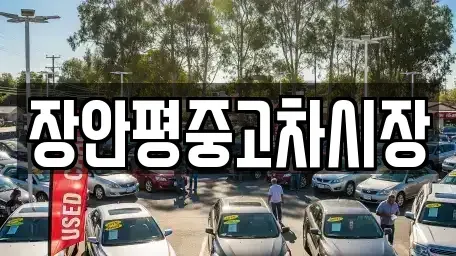 서울 용산구 문배동 중고차 전문 장안평중고차시장