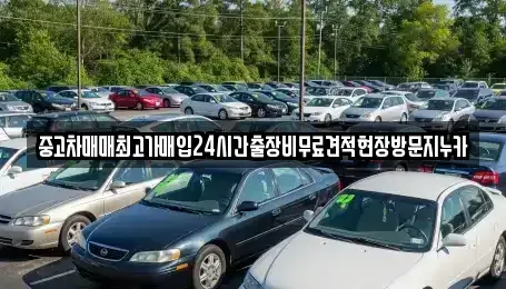 서울 용산구 문배동 중고차 전문 중고차매매최고가매입24시간출장비무료견적현장방문지누카