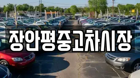 서울 용산구 청암동 중고차 전문 장안평중고차시장