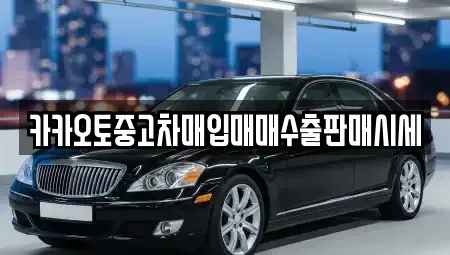 서울 용산구 청암동 중고차매입 전문 카카오토중고차매입매매수출판매시세