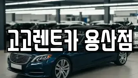 서울 용산구 한강로2가 렌트카 전문 고고렌트카 용산점