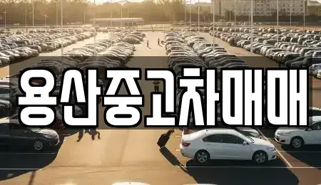 서울 용산구 한강로2가 중고차 전문 용산중고차매매