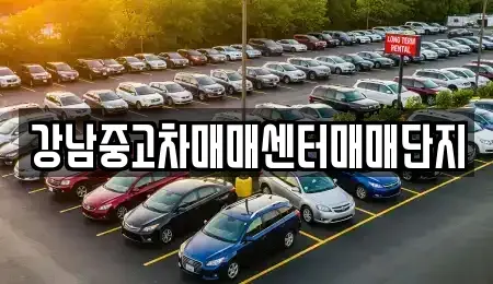 서울 용산구 한강로2가 중고차매매 전문 강남중고차매매센터매매단지