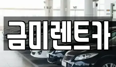 서울 종로구 당주동 렌트카 전문 금미렌트카