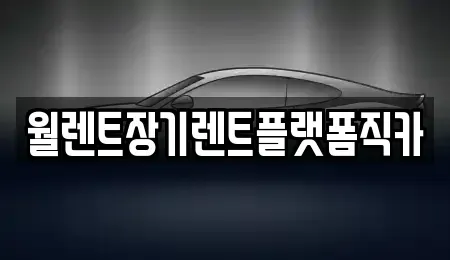 서울 종로구 당주동 렌트카 전문 월렌트장기렌트플랫폼직카