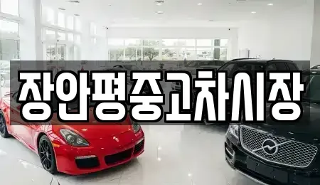 서울 종로구 당주동 중고차 전문 장안평중고차시장
