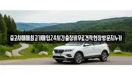서울 종로구 당주동 중고차 전문 중고차매매최고가매입24시간출장비무료견적현장방문지누카