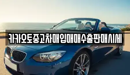 서울 종로구 당주동 중고차 전문 카카오토중고차매입매매수출판매시세