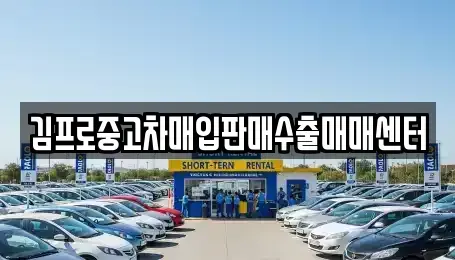 서울 종로구 당주동 중고차매입 전문 김프로중고차매입판매수출매매센터