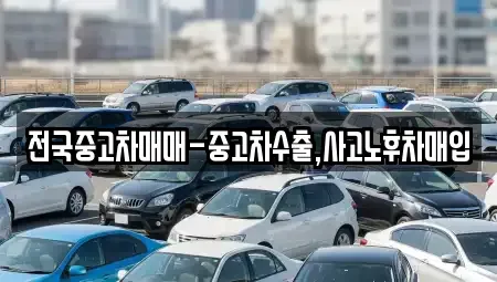 서울 종로구 당주동 중고차매입 전문 전국중고차매매-중고차수출,사고노후차매입