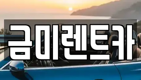 서울 종로구 돈의동 렌트카 전문 금미렌트카