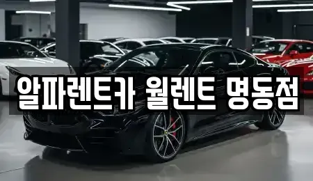 서울 종로구 돈의동 렌트카 전문 알파렌트카 월렌트 명동점