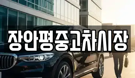 서울 종로구 돈의동 중고차 전문 장안평중고차시장
