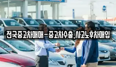 서울 종로구 돈의동 중고차,렌트카,중고차매입,중고차매매,장기렌트카,단기렌트카