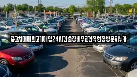 서울 종로구 돈의동 중고차 전문 중고차매매최고가매입24시간출장비무료견적현장방문지누카