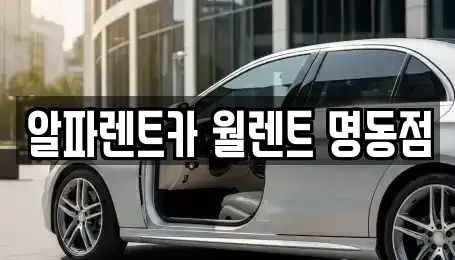 서울 종로구 종로3가 렌트카 전문 알파렌트카 월렌트 명동점