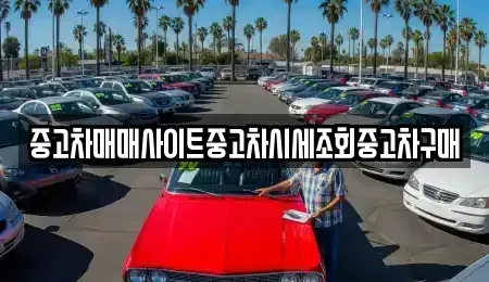 서울 종로구 종로3가 중고차 전문 중고차매매사이트중고차시세조회중고차구매
