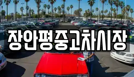 서울 종로구 종로3가 중고차매매 전문 장안평중고차시장