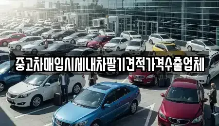 서울 종로구 종로3가 중고차매입 전문 중고차매입시세내차팔기견적가격수출업체