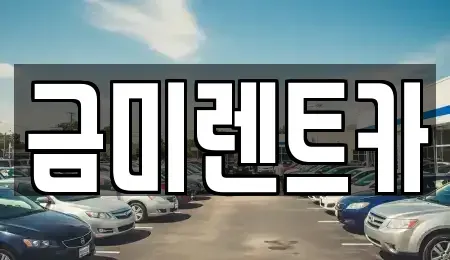 서울 종로구 창성동 렌트카 전문 금미렌트카