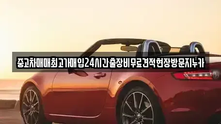 서울 종로구 창성동 중고차매입 전문 중고차매매최고가매입24시간출장비무료견적현장방문지누카