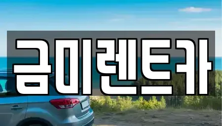 서울 종로구 필운동 렌트카 전문 금미렌트카