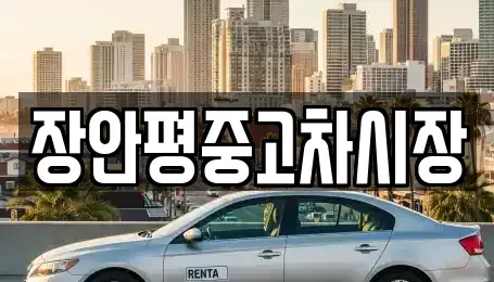 서울 종로구 필운동 중고차 전문 장안평중고차시장