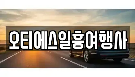 서울 중구 무교동 렌트카 전문 오티에스일흥여행사