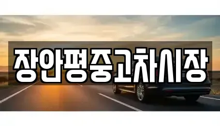 서울 중구 무교동 중고차매매 전문 장안평중고차시장