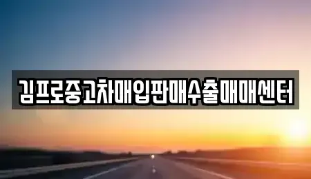 서울 중구 무교동 중고차매입 전문 김프로중고차매입판매수출매매센터