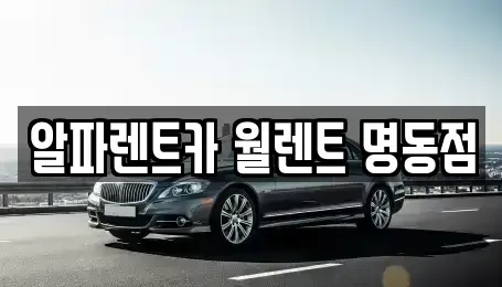 서울 중구 수하동 렌트카 전문 알파렌트카 월렌트 명동점