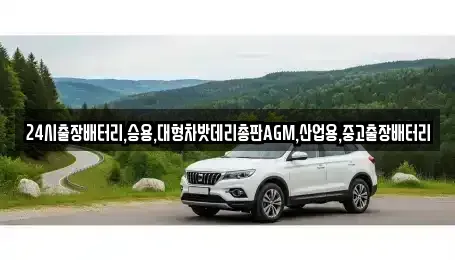 서울 중구 수하동 중고차 전문 24시출장배터리,승용,대형차밧데리총판AGM,산업용,중고출장배터리