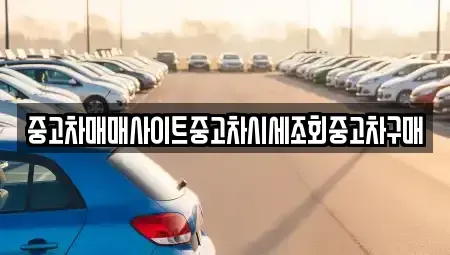 서울 중구 수하동 중고차 전문 중고차매매사이트중고차시세조회중고차구매
