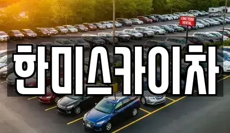 서울 중구 수하동 중고차 전문 한미스카이차