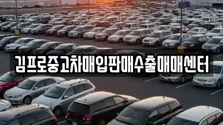서울 중구 수하동 중고차매입 전문 김프로중고차매입판매수출매매센터