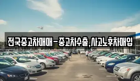 서울 중구 수하동 중고차매입 전문 전국중고차매매-중고차수출,사고노후차매입