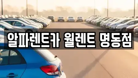 서울 중구 초동 렌트카 전문 알파렌트카 월렌트 명동점