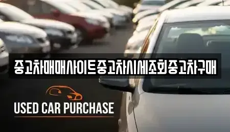 서울 중구 초동 중고차 전문 중고차매매사이트중고차시세조회중고차구매