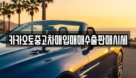 서울 중구 초동 중고차매입 전문 카카오토중고차매입매매수출판매시세