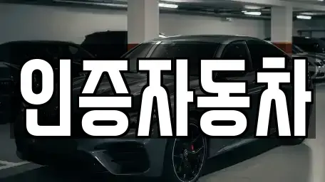 서울 중구 충정로1가 중고차 전문 인증자동차