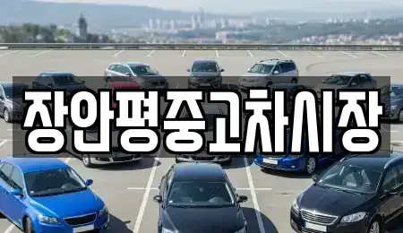 서울 중구 충정로1가 중고차 전문 장안평중고차시장