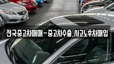 서울 중구 충정로1가 중고차 전문 전국중고차매매-중고차수출,사고노후차매입